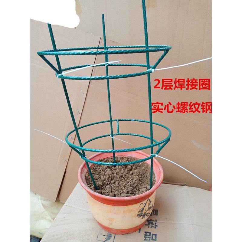 蟹爪兰仙人掌嫁接球兰花架支架攀爬园艺固定架支撑架高80㎝组装