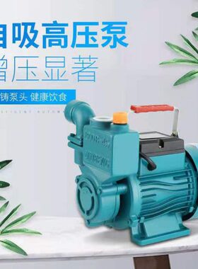 静音高频感应加热进水管接头电动自吸循环冷却水泵QB60-370W铜线