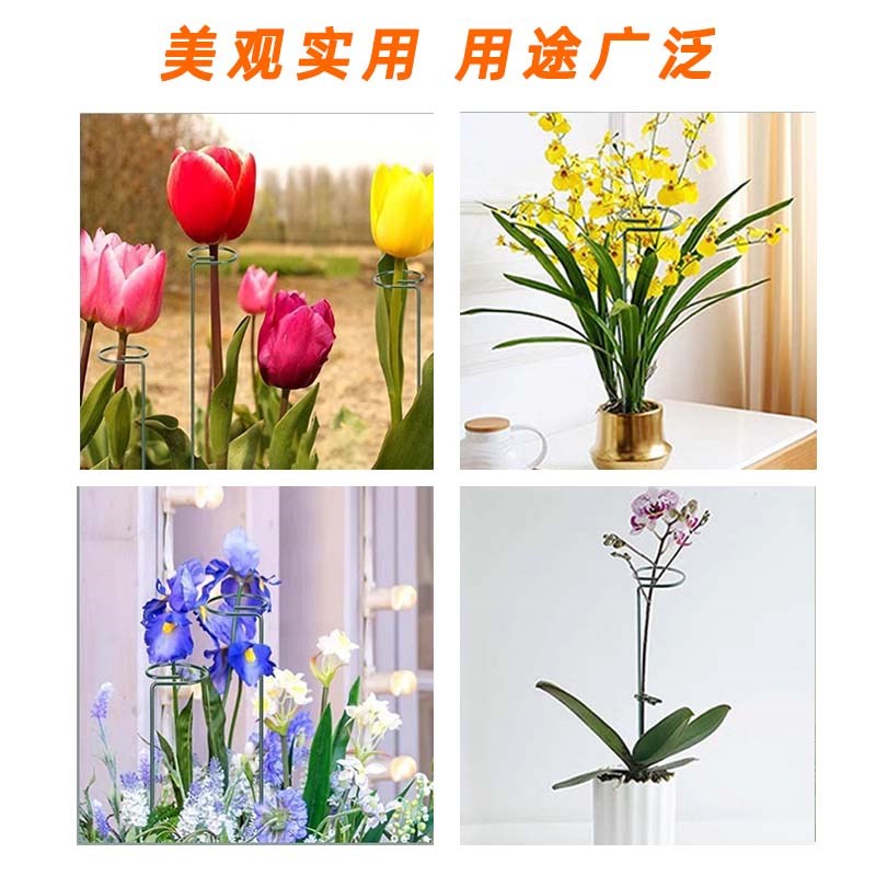植物防倒伏支架支撑杆铁艺绣球吊兰园艺固定架爬藤花卉朱顶红花架