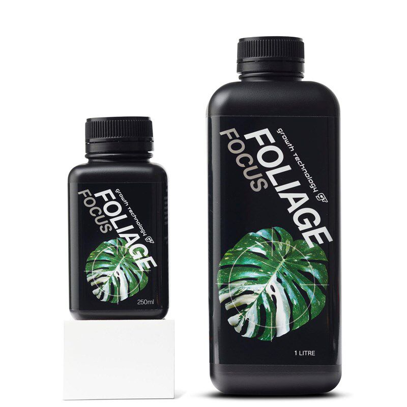 GrowthTechnology观叶绿白锦化龟背竹营养液蕨类草本花烛植物肥料