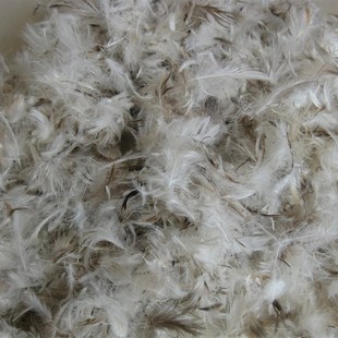 水洗羽绒鸭绒毛 枕芯靠垫填充物原料 灰鸭绒片一斤价格