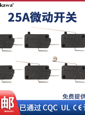 DONGNAN微动开关25A大电流洗车机KW3A-25小型行程限位自复位开关