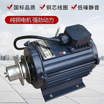 负压风机电机工业排风扇专用马达养殖场畜牧风机全铜三相异步电机