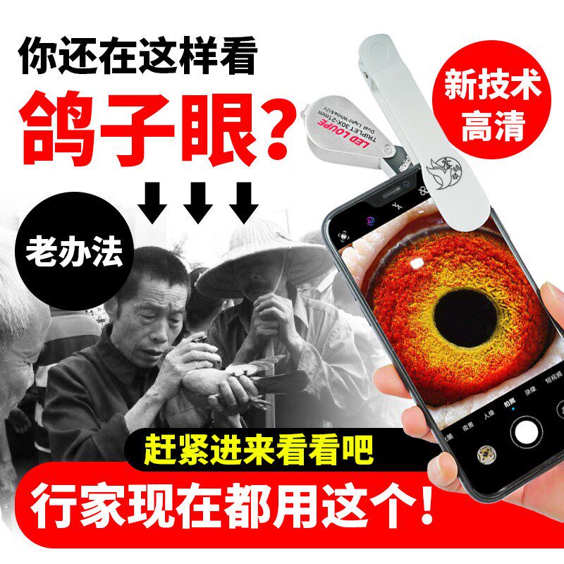 拜斯特鸽子眼专用放大镜拍眼底镜高清30倍带灯工具看拍照信鸽