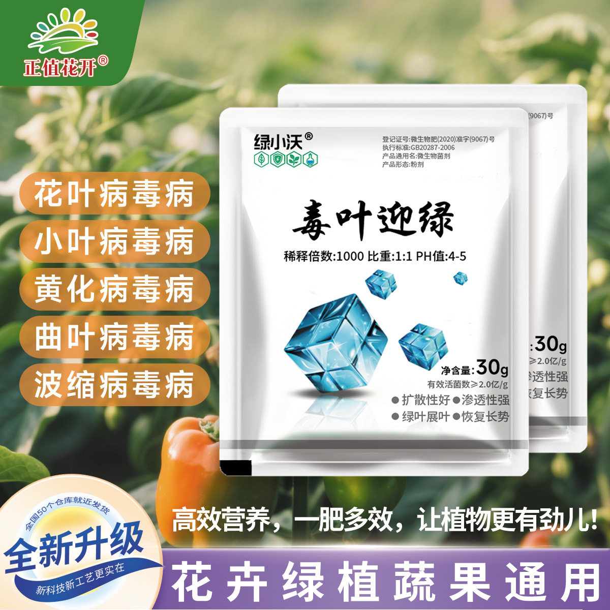 毒叶迎绿辣椒黄瓜西红柿番茄蔬菜葡萄黄叶落叶花叶园艺营养液HF