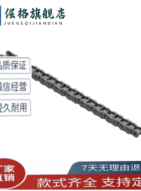 链条CHE15/CHES25/35/40/50/60/100/80-U/CHEEC/CHEED120/CHEH11