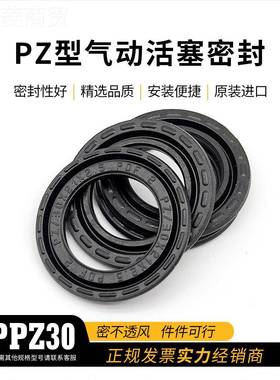 PA圈RKER克美VKP丁国原装进口腈PZ/30*21*派2.5气动活塞密封正品