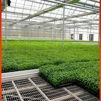 移动苗床床架子网大棚温室育苗农业种植室内多肉花圃网片,农机/农具/农膜,智能温室设备,淘宝优惠券,粉丝福利购,淘宝优惠卷