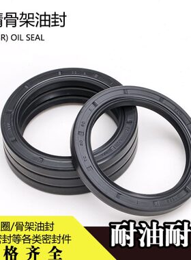 NAK耐磨耐油丁腈胶骨架油封TC210*250*16/240*270*275*280*15*16