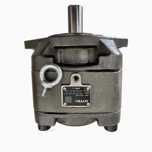 125 100 160 01R SUNNY伺服油泵 辰钦奕内啮合齿轮泵HG2 VPC