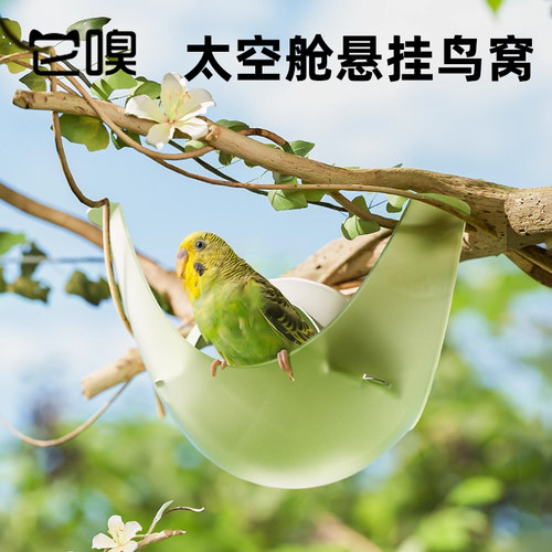 它嗅小鸟睡觉悬挂鸟窝