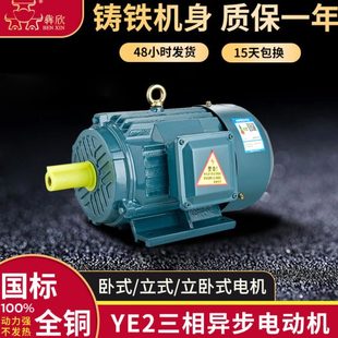250M 2极3kw三相异步电动机E2 4极55KW极铜线水泵电机 100L YE2
