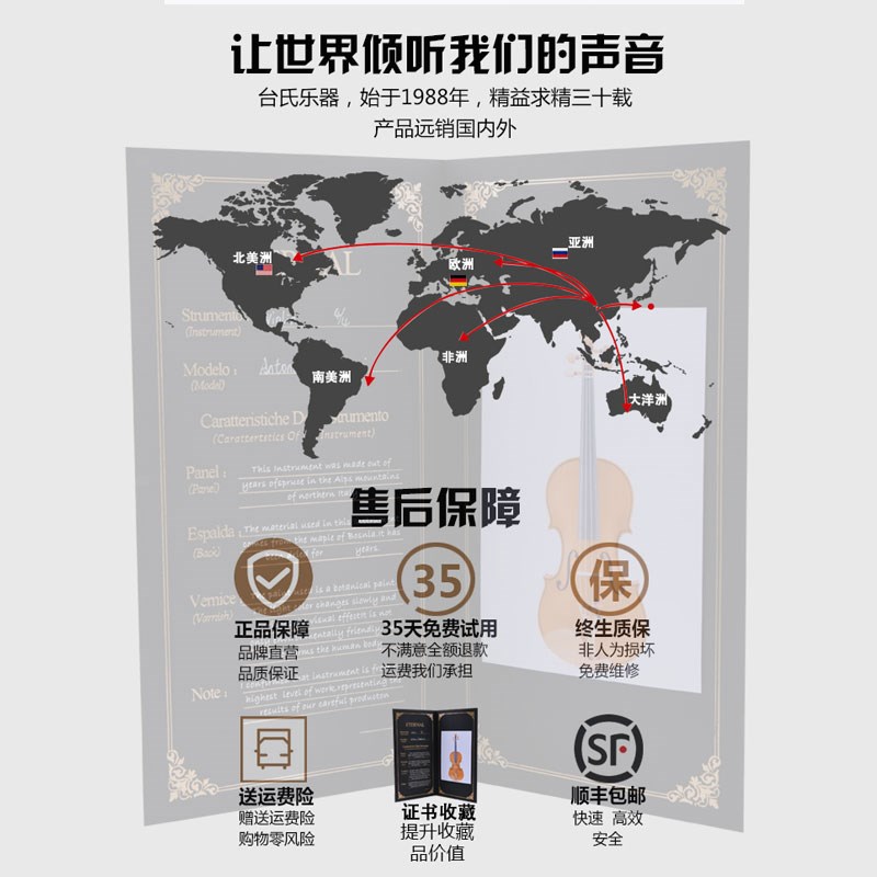 台氏TV-022纯手工大师级进口欧料演奏独奏级小提琴
