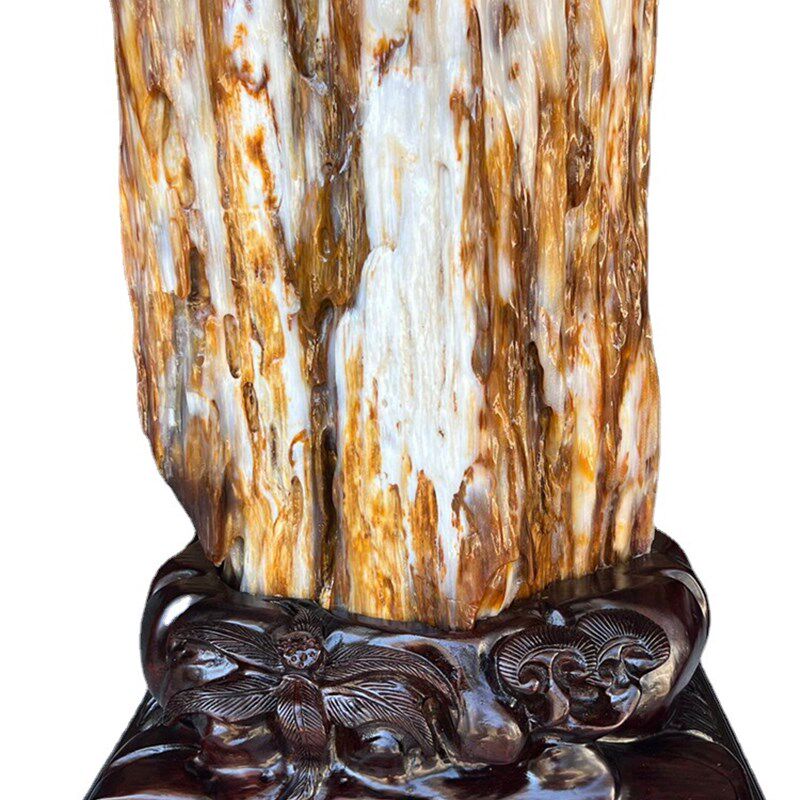 缅甸树化玉天然树化石原石木化玉奇石木化石家居客厅书房博古摆件