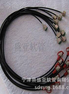 YNV盛亚现成货耐高压测压管总高压油管耐压压表管件多试种测力管