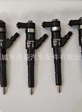 辽宁新风喷油器SHA2236SHA11084云内动力喷油嘴NFI3.1叉车喷油器