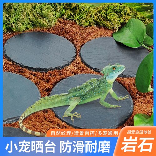 爬虫守宫蜥蜴岩石板岩石盘陆龟垫材磨爪保湿爬宠岩板饲养箱笼子用