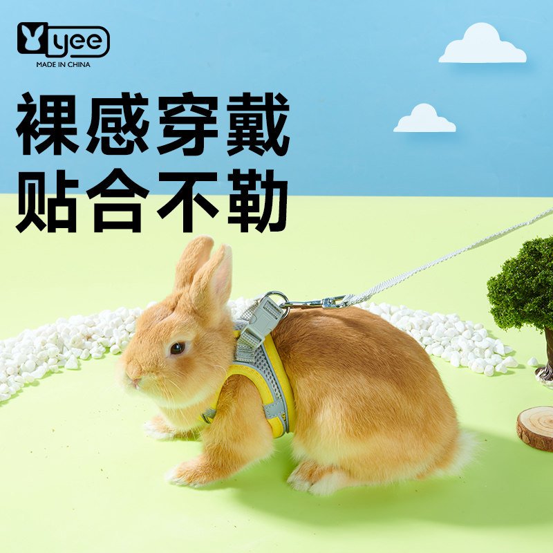yee兔子牵引绳防挣脱溜兔绳外出侏儒豚鼠溜龙猫神器可调节兔用品,节庆用品/礼品,拉花,淘宝优惠券,粉丝福利购,淘宝优惠卷