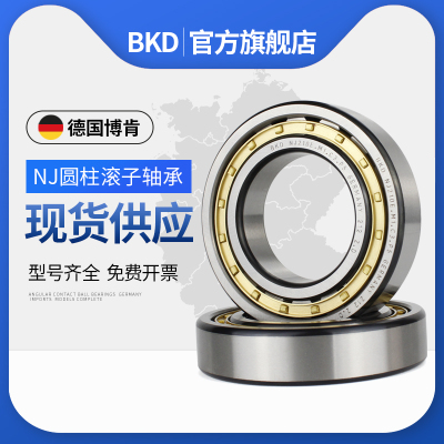 德国BKD进口轴承NJ202EM NJ203EM NJ204EM NJ205EM NJ206EM P5 P4