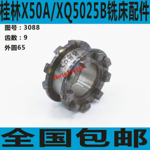 X50A X50A铣床结合子齿轮 铣床结合子齿轮 桂林铣床结合子齿轮
