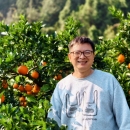 湘西 自然成熟 脐橙