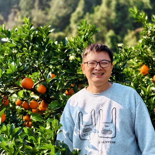 湘西  脐橙  自然成熟