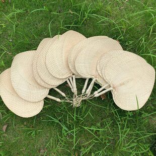 春夏季 蒲扇草编宝宝手摇粽叶扇手工舞蹈扇子定制 儿童表演葵扇老式