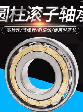 圆柱轴承N NU NJ RN NUP NF  1060  EM C3 4