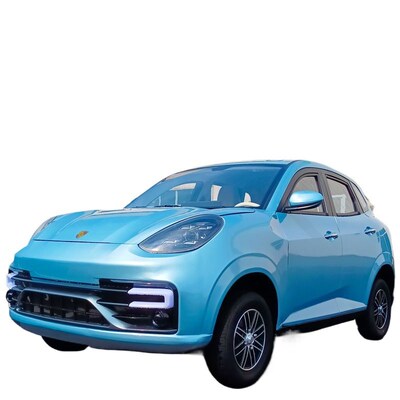 新能源四轮电动车家用老头乐女士小型新款低速代步汽轿车油电两用