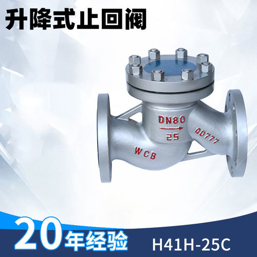 铸钢法兰升降式止回阀 H41H-25C 铸钢止回阀 WCB  碳钢逆止阀