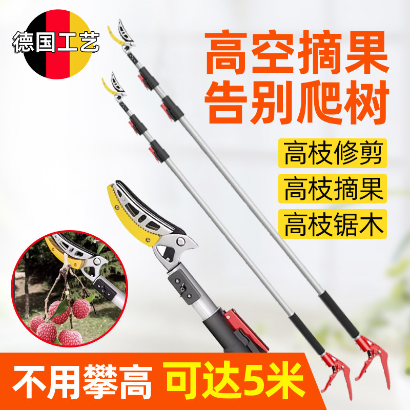 摘水果伸缩杆高空剪树枝高枝剪采摘酸枣荔枝杨梅龙眼摘果神器图片