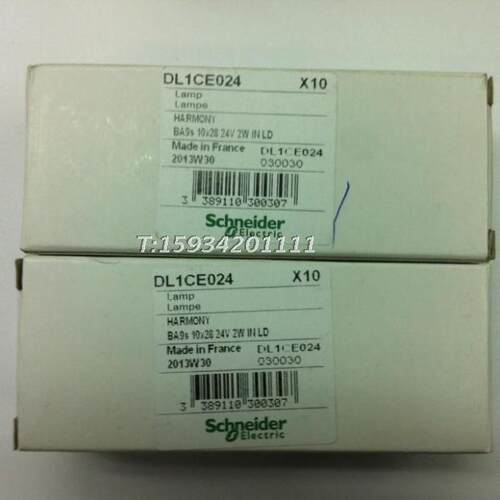 白炽灯泡 DL1CE024