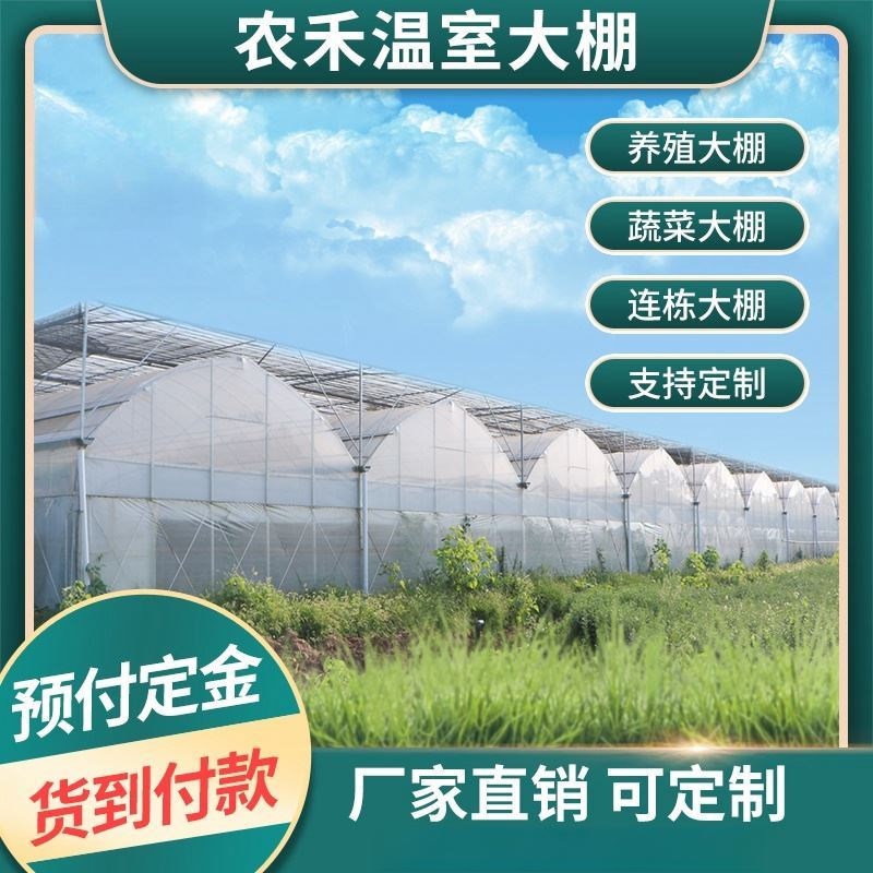 大棚钢管骨架拱棚配件定制蔬菜种植养殖椭圆管连体连栋棚全套支架