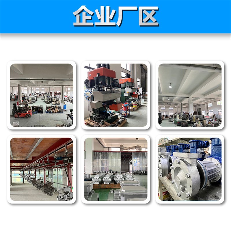 不锈钢耐高温350度耐低温负196度模温机耐压无涡流LCY2251 磁力泵