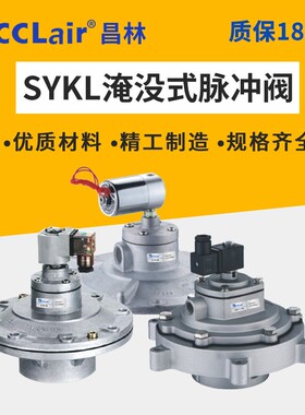 淹没式脉冲阀SYKL,DYM-89图尔波型3寸SQP-Y-75S泰山式阀CD-III-80