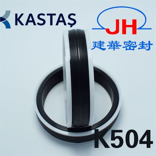 K504原装进口PZ卡斯塔斯KASTAS油缸活塞密封件油封高压夹布KGD/AE