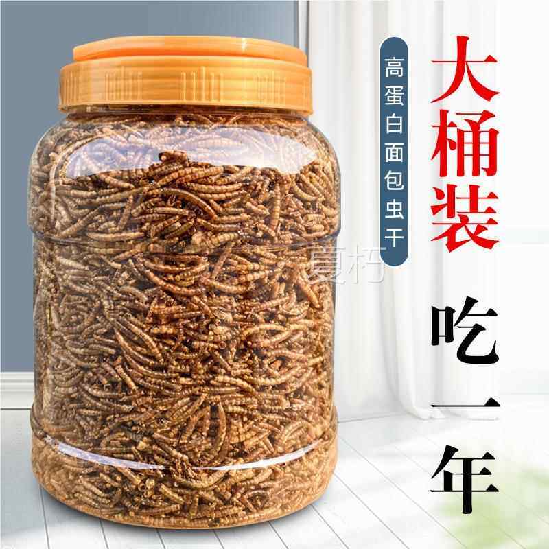麦麸面包虫小壁虎吃的食物宠物龙鱼活虫饲料黄粉虫苗画眉鸟提性虫