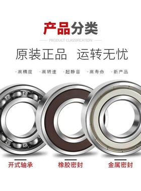 高速进口NSK轴承 16006 16007 16008 16009 16010 16011 ZZ VV C3