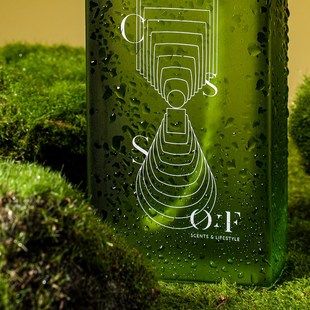 OF时阶无火扩香露水青苔木兮有枝桂花小众设计香薰礼盒