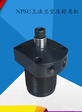 NPSR/RSU上法兰配管式空压转角缸气缸