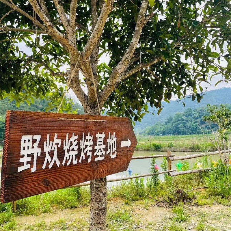 定制户外民宿酒店打卡木质导向牌导视牌路标N指路牌指示牌装饰路