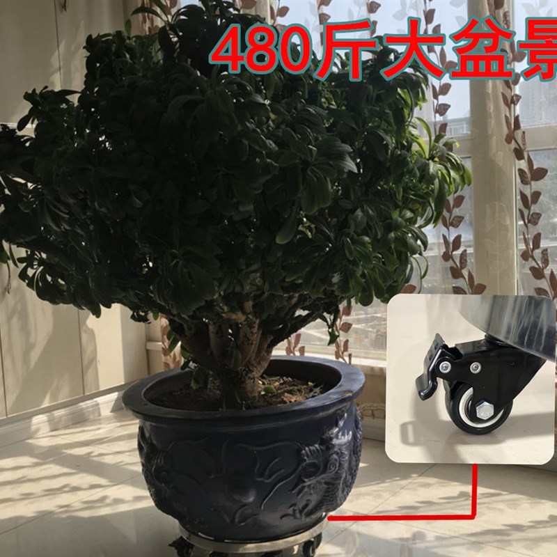 移动花卉/绿植加厚金属圆形带轮底座新款滚轮万向轮活动承重室内