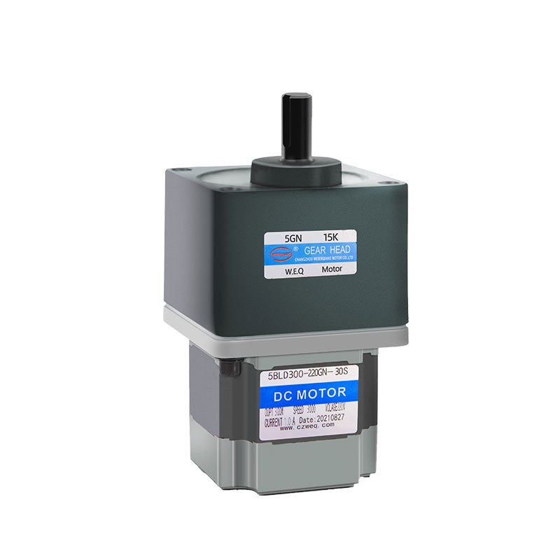 威尔强直流无刷减速电机10W-500W正反转带控制器微型低压整机马达