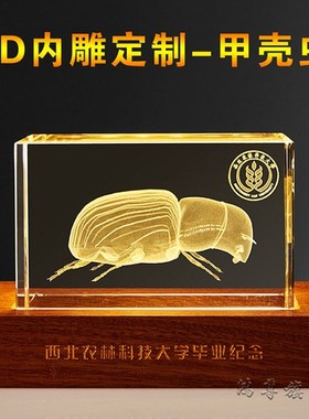 大学同学聚会纪念品周年校庆毕业商务庆典宣传R礼品摆件内雕水晶