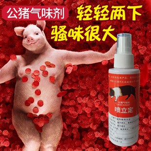 母猪诱情剂授精配种兽用米尼图公猪气味剂猪用人工授精养殖配种猪