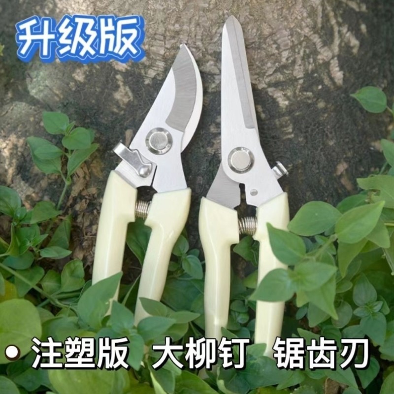 树枝剪刀果树剪刀园艺盆景剪刀修枝神器花艺剪刀摘果嫁接剪刀工具