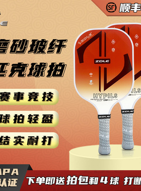 ZDLE磨砂玻璃纤维匹克球球拍Pickleball室内外学生运动比赛训练拍