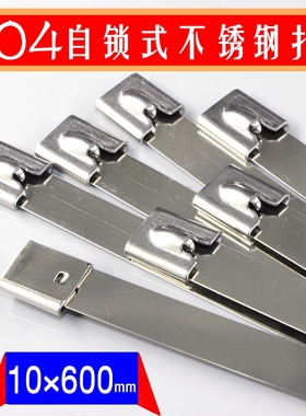 船用304不锈钢G型扎带10*600mm电缆标牌捆绑Q固定束线锁紧卡扣包