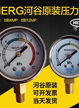 河谷原装注油泵压力表TZ-2232-410/2202-210X电动润滑油泵0-4MP