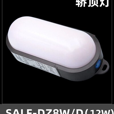 电梯井道灯轿顶灯SALF-DZ8W底坑SALF-DZ10W/D应急照明LED壁灯